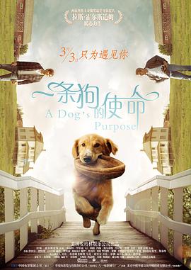 成人自拍电影